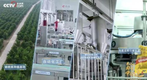 洽洽20年 一把堅(jiān)果背后的匠心與堅(jiān)守，與網(wǎng)絡(luò)科技領(lǐng)域技術(shù)開發(fā)的跨界啟示